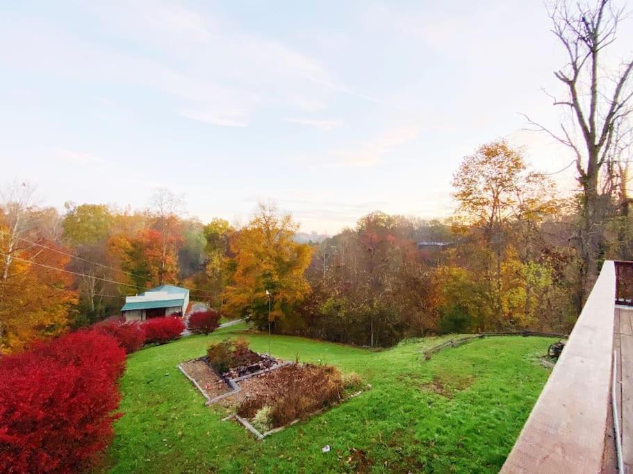 Dog Friendly! Views! Hot Tub! Close To Pf! Gsmnp Sevierville Eksteriør bilde